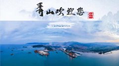 青山实业：三十余年走出一条国际化宽阔道路