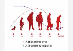 关节健康营养先行，细数透明质酸和氨糖的作用